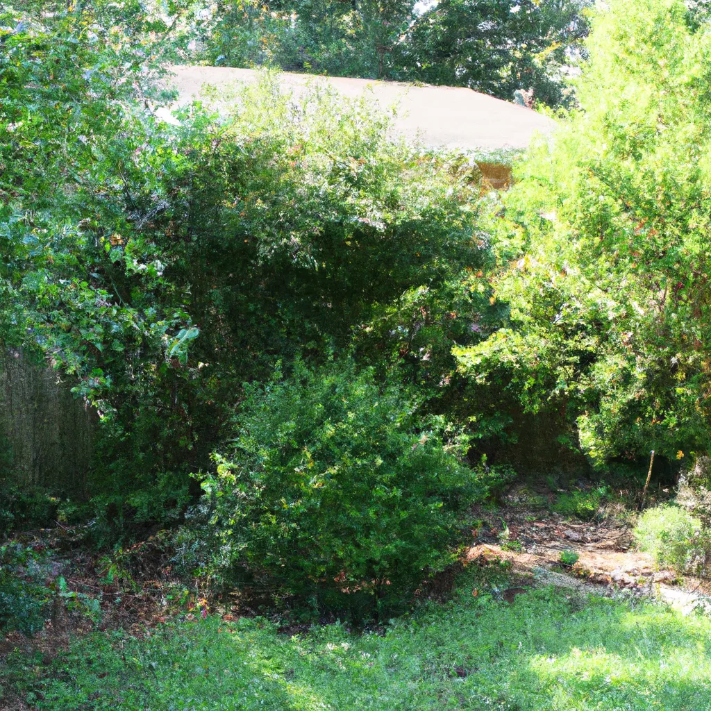 Rośliny pnące – jakie wybrać i jak je pielęgnować